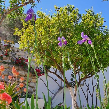 Arhondia House Villa Ierapetra  Exterior photo